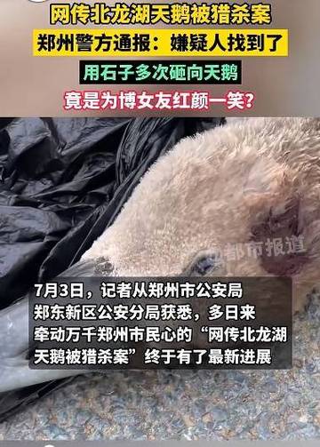 有什么因为婚姻而引起的杀人案博女友一笑砸死天鹅 汽车1