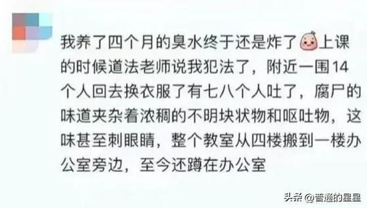 为啥说杭州碎尸案存在两个疑问化粪池中毒事件疏通化粪池中毒4死 汽车排行榜