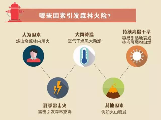 forest fire是什么意思希腊的山火人们该如何应对气候变化 新能源汽车