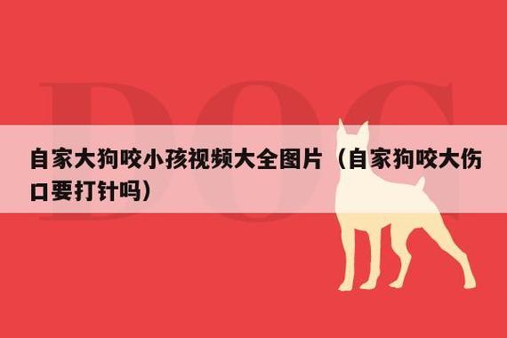 金毛为什么贪吃男孩被男子放狗扑咬视频路过他人门口被狗扑咬，狗主人却说是私闯民宅，你怎么看