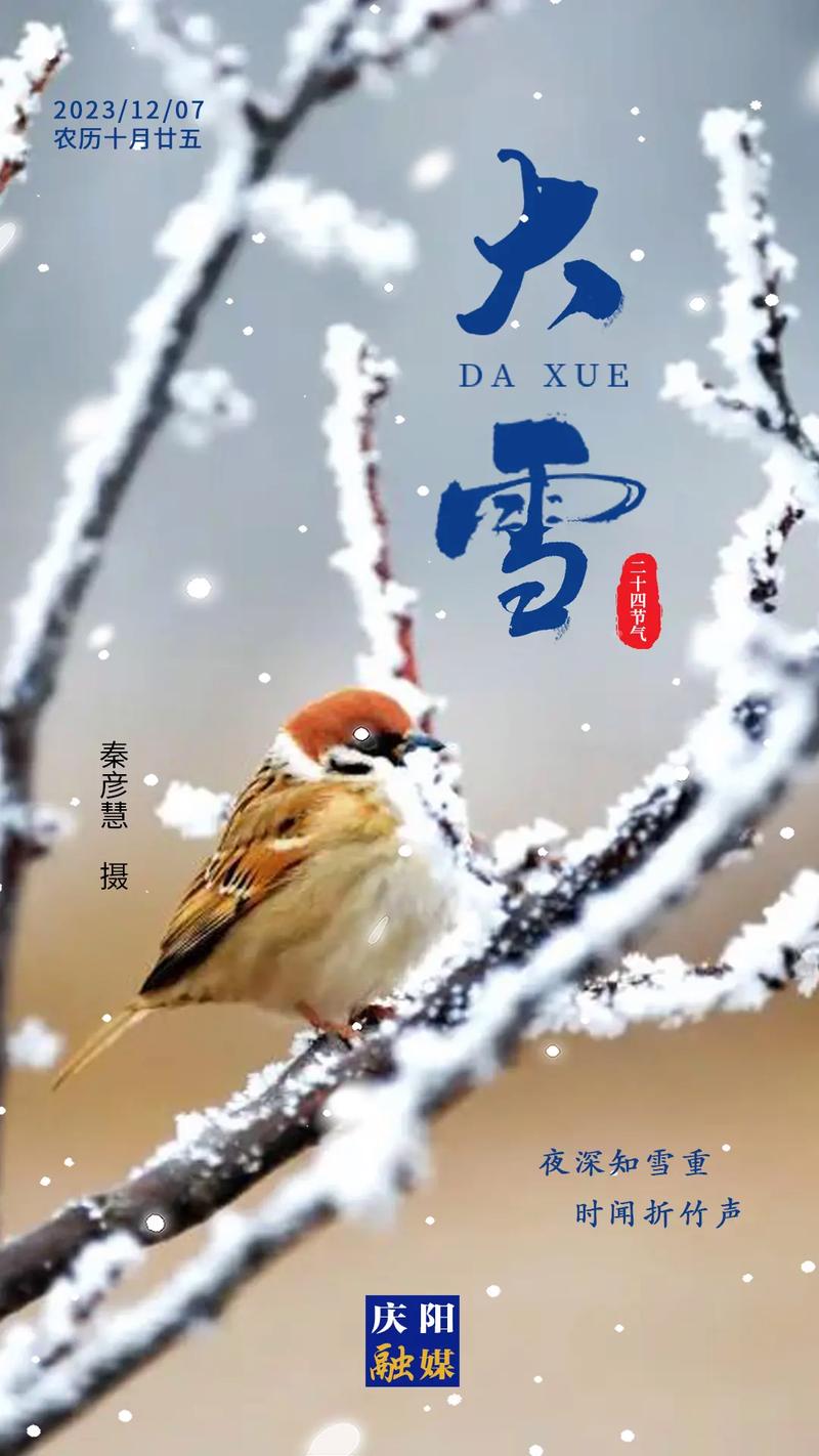 秋天的雪是什么意思为什么秋天也会下雪呢为什么今年突然下大雪